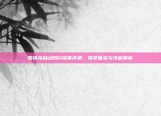 雪铁龙自动挡D深度评测，驾驶体验与性能解析