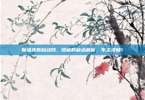 新福克斯自动挡，隐藏的缺点解析，车主须知！