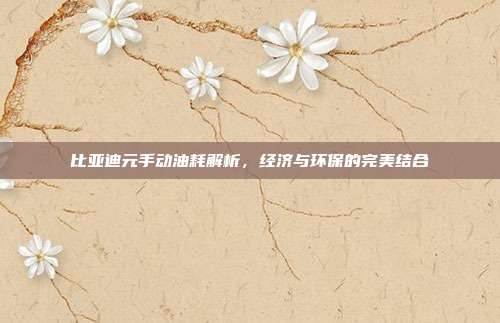 比亚迪元手动油耗解析，经济与环保的完美结合