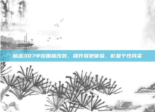标志307中控面板改装，提升驾驶体验，彰显个性风采