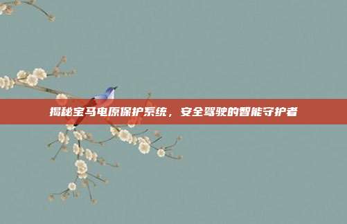 揭秘宝马电原保护系统，安全驾驶的智能守护者