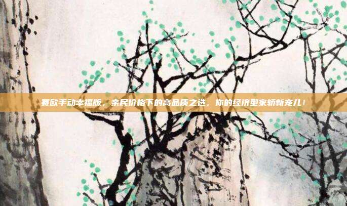赛欧手动幸福版，亲民价格下的高品质之选，你的经济型家轿新宠儿！