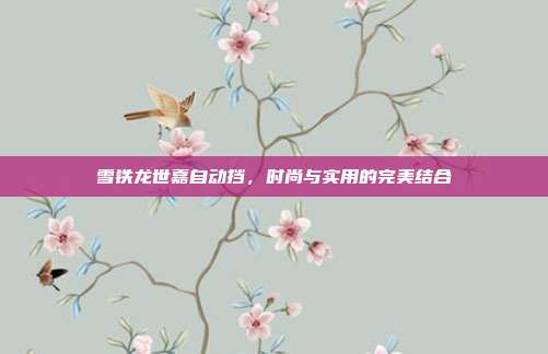 雪铁龙世嘉自动挡，时尚与实用的完美结合