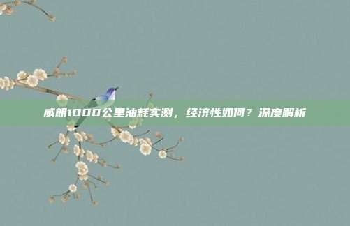 威朗1000公里油耗实测，经济性如何？深度解析