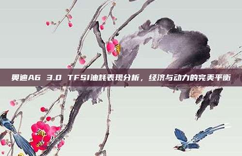 奥迪A6 3.0 TFSI油耗表现分析，经济与动力的完美平衡