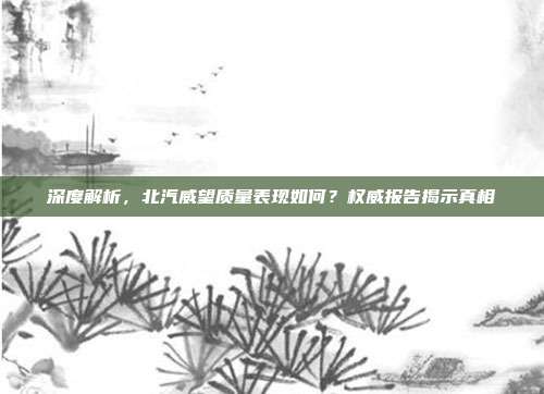 深度解析，北汽威望质量表现如何？权威报告揭示真相