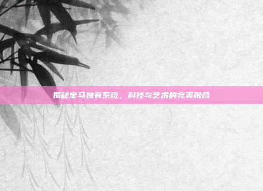 揭秘宝马独有系统，科技与艺术的完美融合