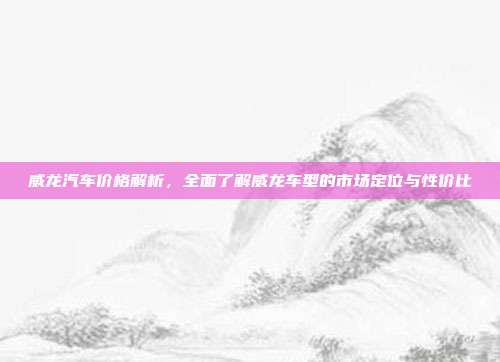 威龙汽车价格解析，全面了解威龙车型的市场定位与性价比