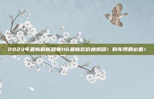 2023年最新解析哈弗H6最新款价格揭晓！购车预算必看！
