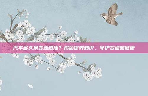 汽车多久换变速箱油？揭秘保养知识，守护变速箱健康