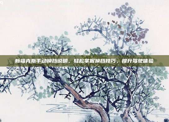 新福克斯手动换挡说明，轻松掌握换挡技巧，提升驾驶体验