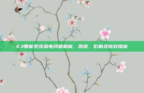 K3智能系统漏电问题解析，原因、影响及应对措施