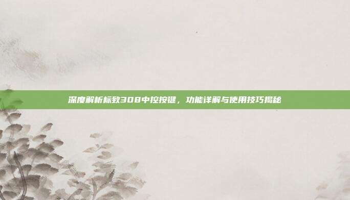 深度解析标致308中控按键，功能详解与使用技巧揭秘