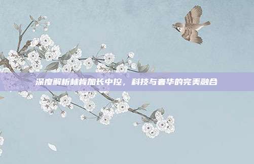 深度解析林肯加长中控，科技与奢华的完美融合