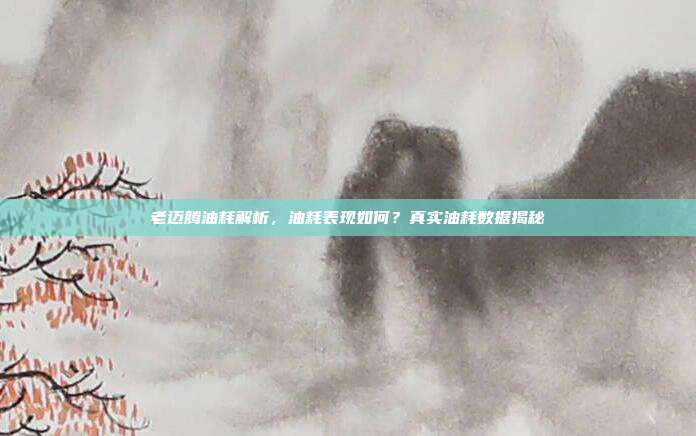 老迈腾油耗解析，油耗表现如何？真实油耗数据揭秘