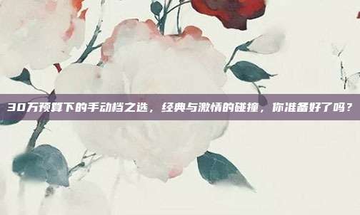 30万预算下的手动档之选，经典与激情的碰撞，你准备好了吗？