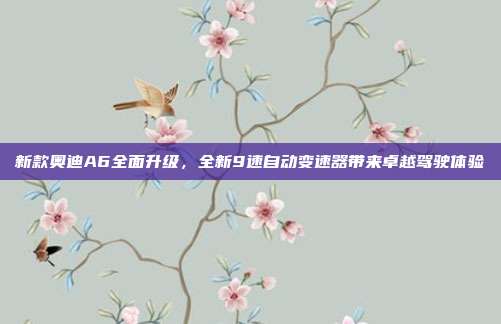 新款奥迪A6全面升级，全新9速自动变速器带来卓越驾驶体验