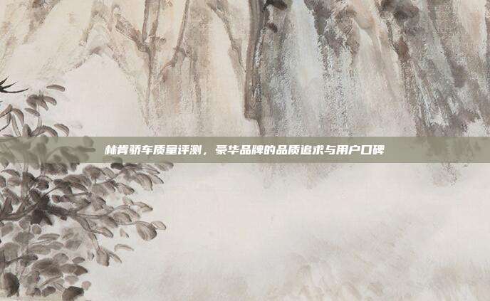 林肯骄车质量评测，豪华品牌的品质追求与用户口碑