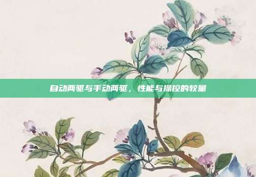 自动两驱与手动两驱，性能与操控的较量