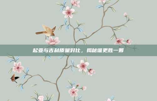 起亚与吉利质量对比，揭秘谁更胜一筹