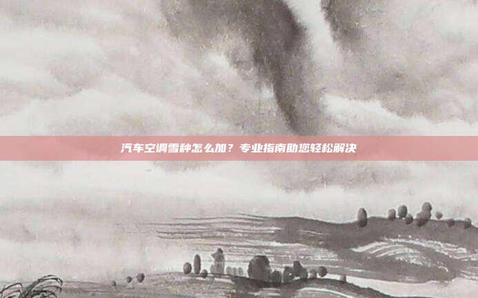 汽车空调雪种怎么加？专业指南助您轻松解决