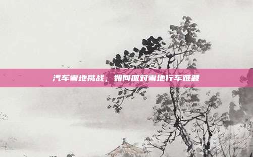 汽车雪地挑战，如何应对雪地行车难题