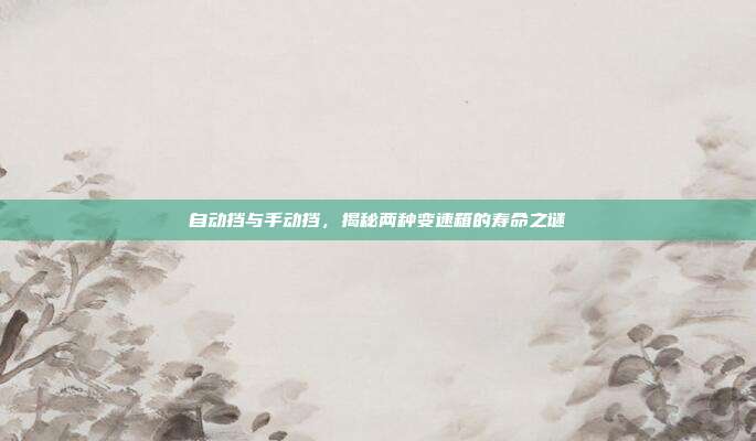 自动挡与手动挡，揭秘两种变速箱的寿命之谜