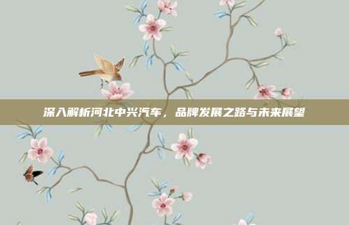 深入解析河北中兴汽车，品牌发展之路与未来展望