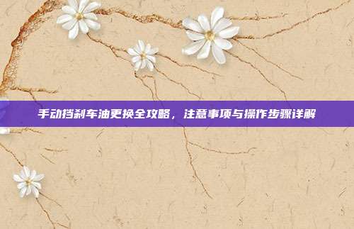 手动挡刹车油更换全攻略，注意事项与操作步骤详解
