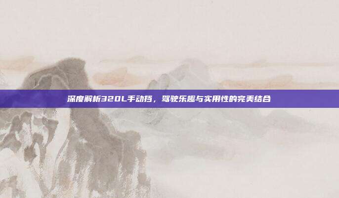 深度解析320L手动挡，驾驶乐趣与实用性的完美结合