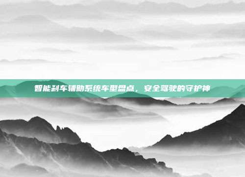 智能刹车辅助系统车型盘点，安全驾驶的守护神