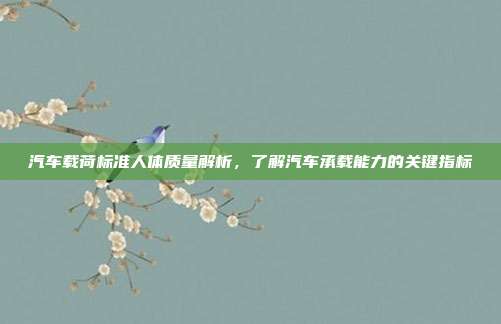 汽车载荷标准人体质量解析，了解汽车承载能力的关键指标