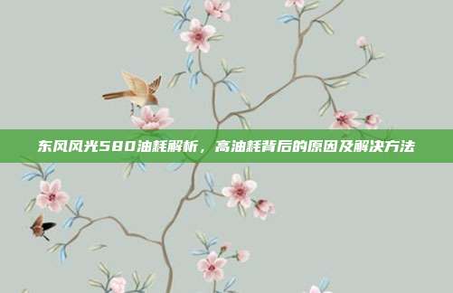东风风光580油耗解析，高油耗背后的原因及解决方法