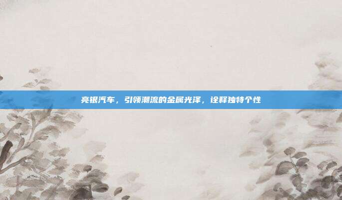 亮银汽车，引领潮流的金属光泽，诠释独特个性