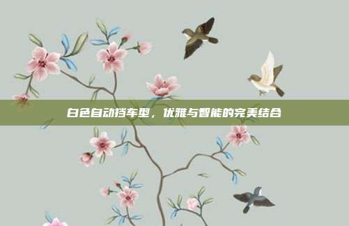 白色自动挡车型，优雅与智能的完美结合