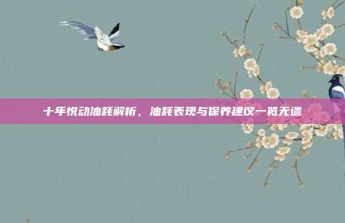 十年悦动油耗解析，油耗表现与保养建议一览无遗