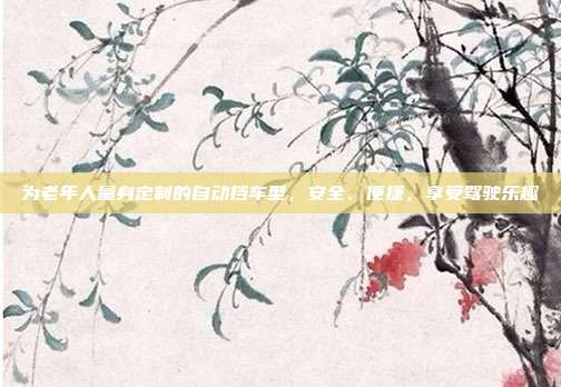 为老年人量身定制的自动挡车型，安全、便捷，享受驾驶乐趣