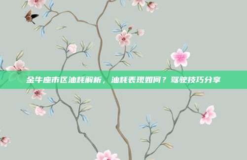 金牛座市区油耗解析，油耗表现如何？驾驶技巧分享