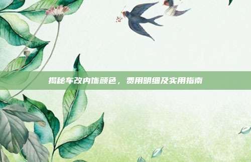 揭秘车改内饰颜色，费用明细及实用指南