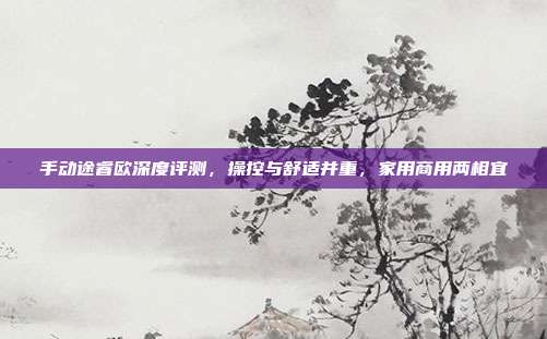 手动途睿欧深度评测，操控与舒适并重，家用商用两相宜