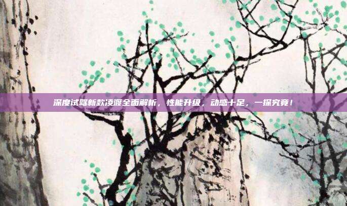 深度试驾新款凌渡全面解析，性能升级，动感十足，一探究竟！