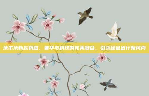 沃尔沃新款轿跑，奢华与科技的完美融合，引领绿色出行新风尚