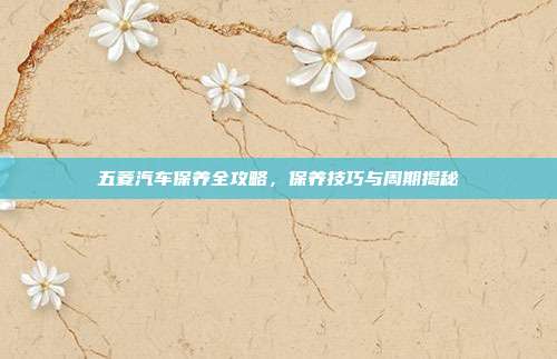 五菱汽车保养全攻略，保养技巧与周期揭秘