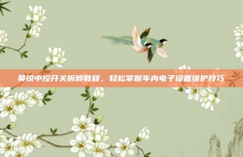 昊锐中控开关拆卸教程，轻松掌握车内电子设备维护技巧