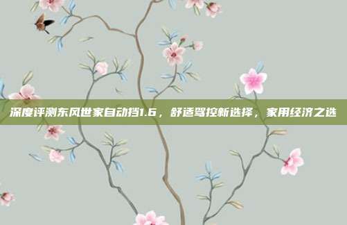 深度评测东风世家自动挡1.6，舒适驾控新选择，家用经济之选