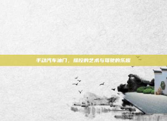 手动汽车油门，操控的艺术与驾驶的乐趣