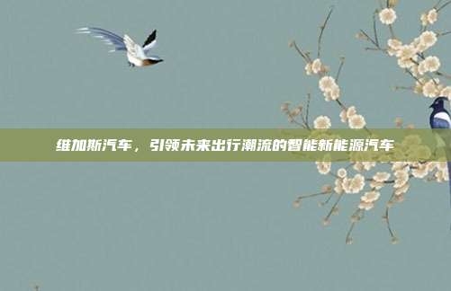 维加斯汽车，引领未来出行潮流的智能新能源汽车