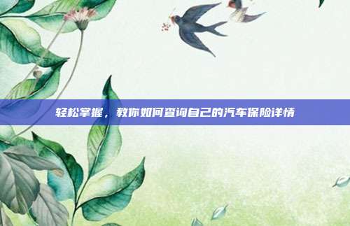 轻松掌握，教你如何查询自己的汽车保险详情