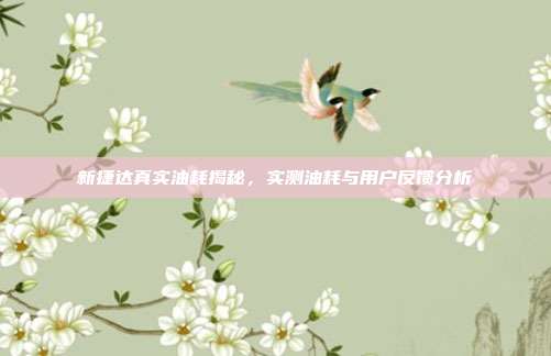 新捷达真实油耗揭秘，实测油耗与用户反馈分析