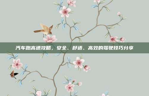 汽车跑高速攻略，安全、舒适、高效的驾驶技巧分享